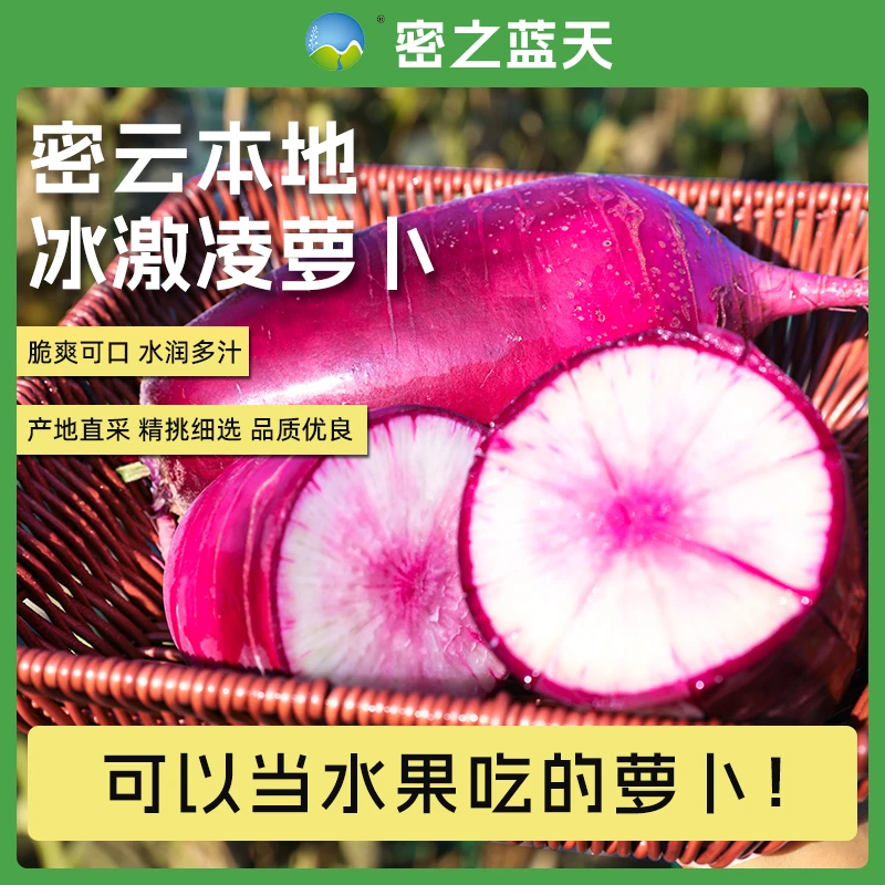 密之蓝天密云本地农家种植冰激凌萝卜水果萝卜500g