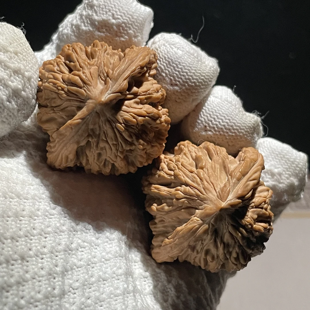 粗筋虎头，全品无修，无药原桩山地果，边42肚40高44。编号626