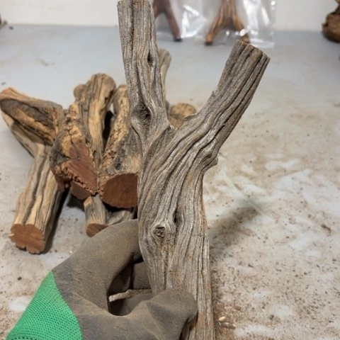 大果紫檀（缅甸花梨）临****）