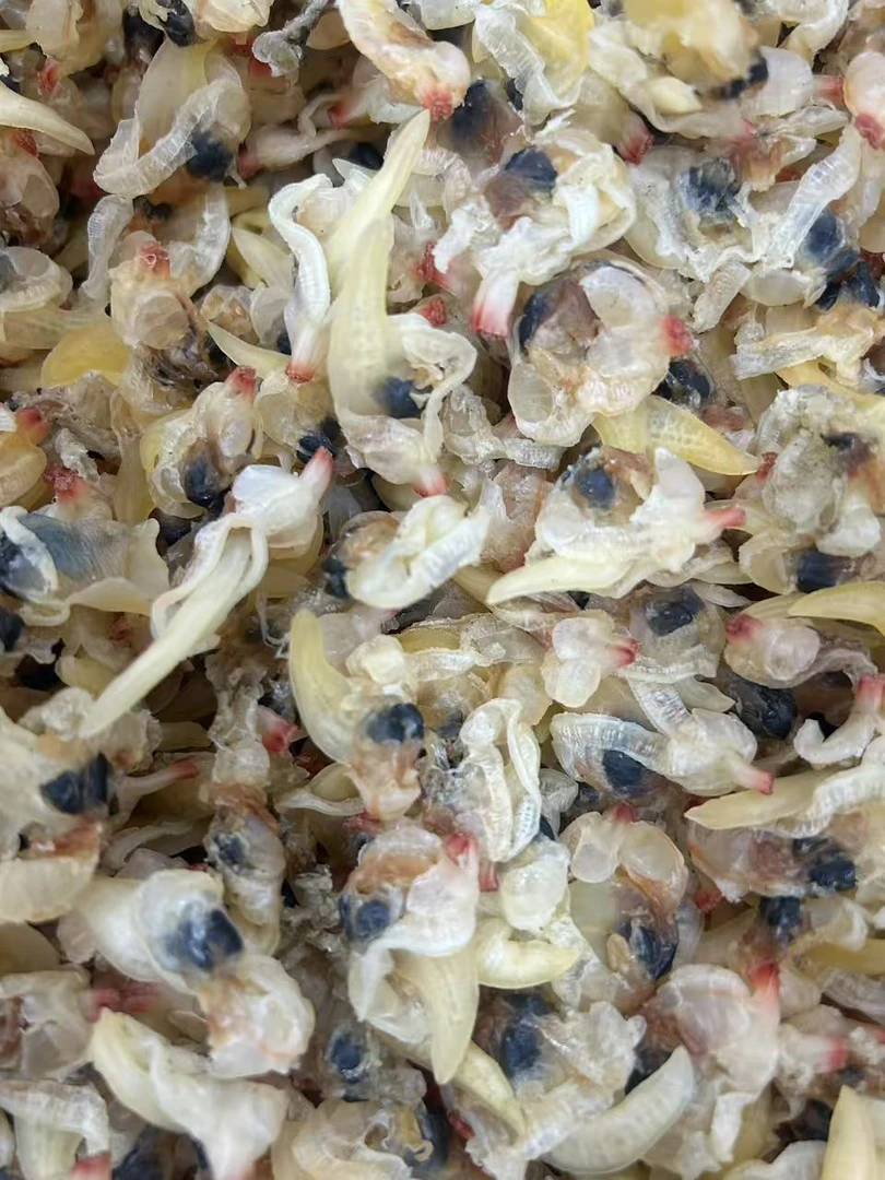 【顺德拉叔臻品】精选花甲肉 250g
