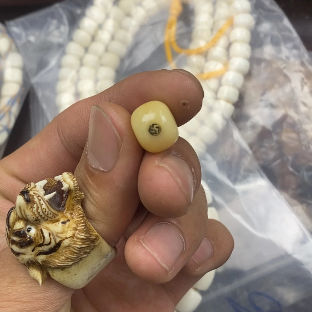 驼骨其他1.2尺寸驼牙,17