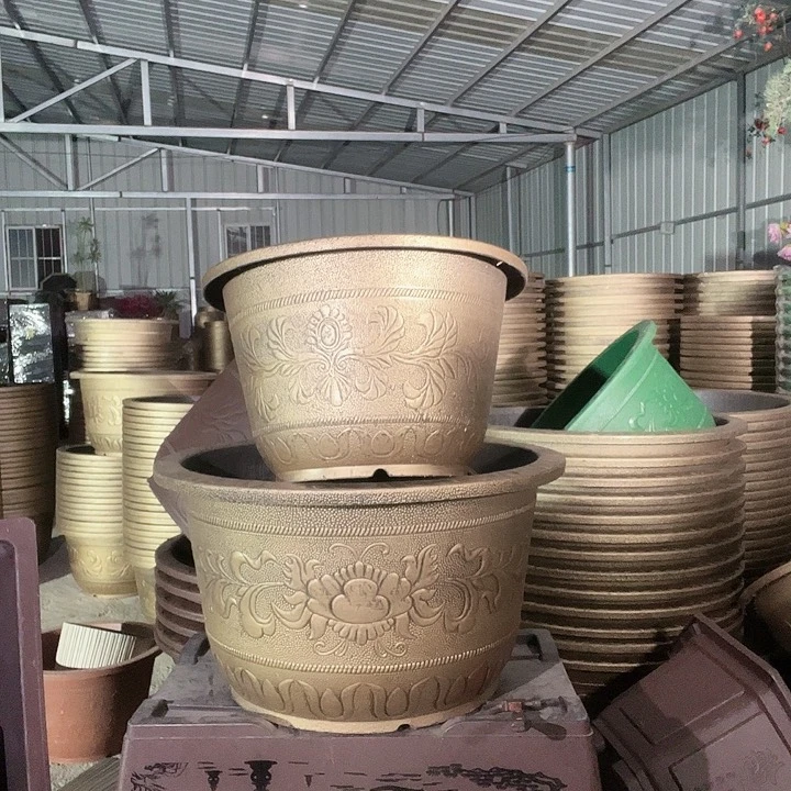 梅花照眼 依然旧风味