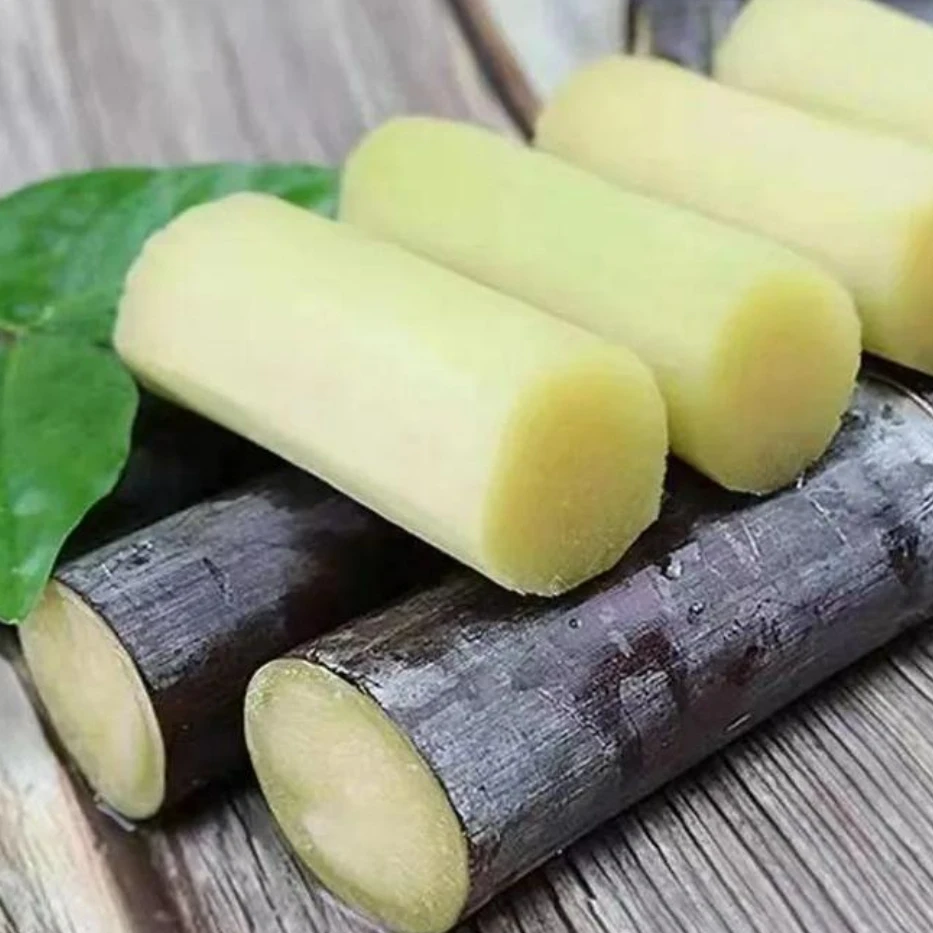 广西黑皮甘蔗水果甘蔗甘甜多汁 新鲜水果