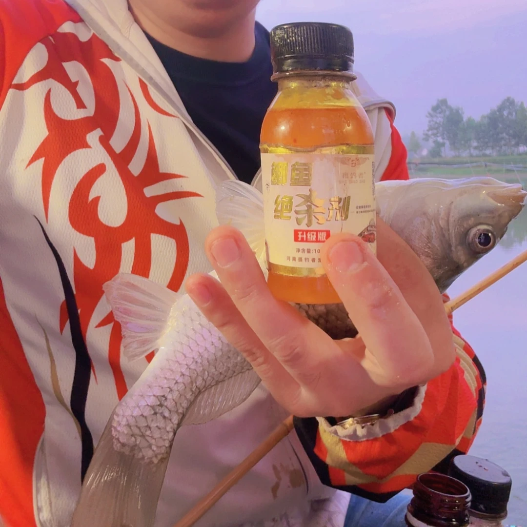 鲫鱼绝杀剂专钓鲫鱼