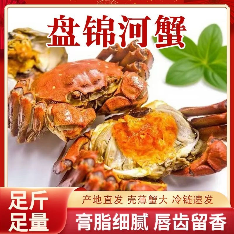 【活蟹河蟹】盘锦稻田河蟹母蟹0.9-1.2两规格2斤装