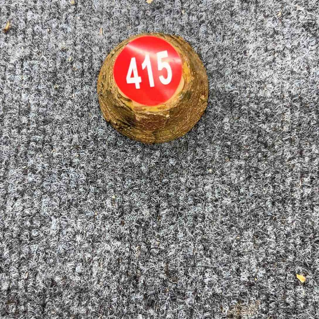 玉***段对你的喜欢就如同这日子只增不减415