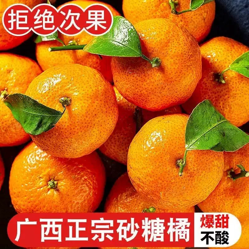 正宗广西西林砂糖桔新鲜水果现摘现发