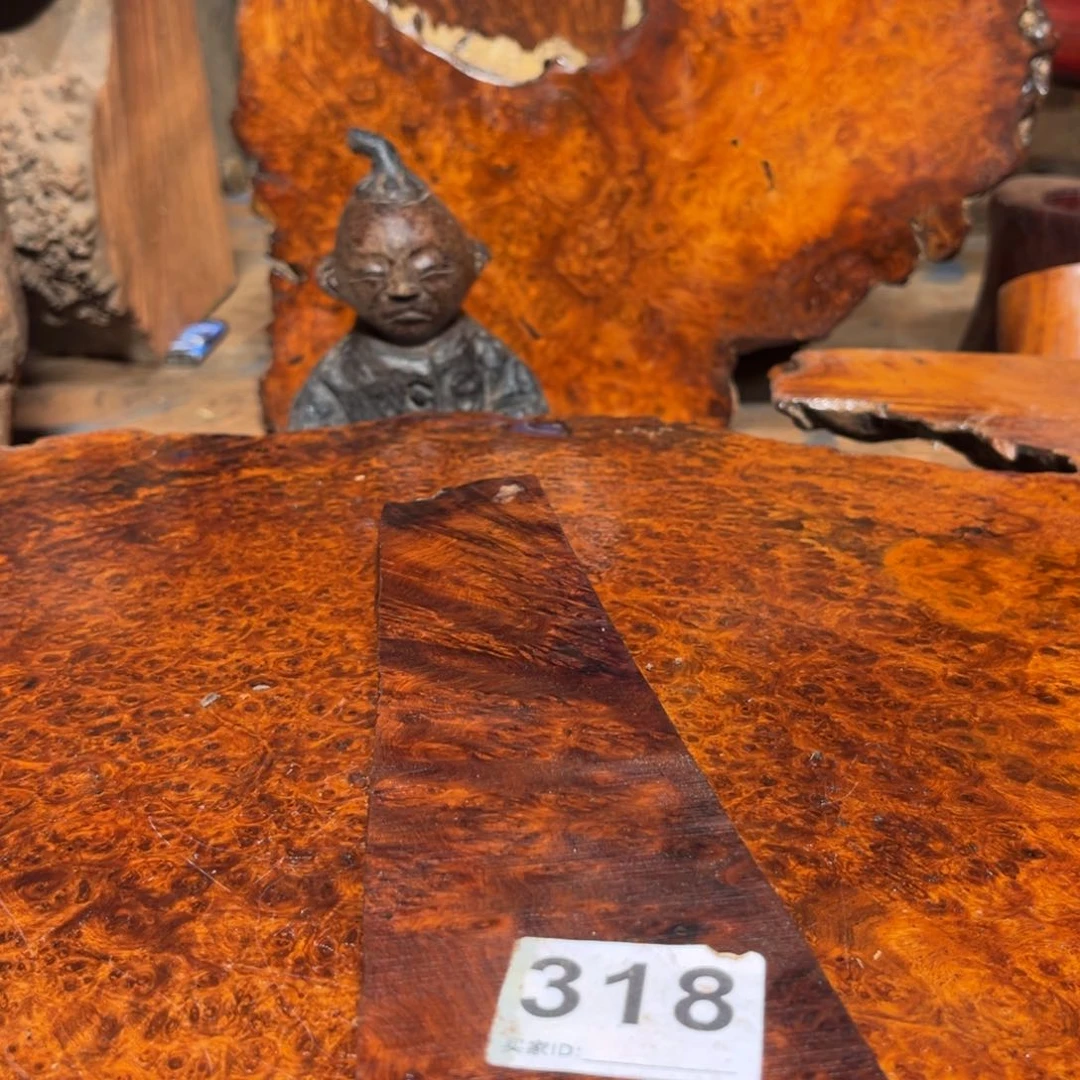 大果紫檀（缅甸花梨）