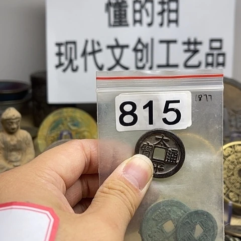 铜用****7现代文创工艺品现代花钱