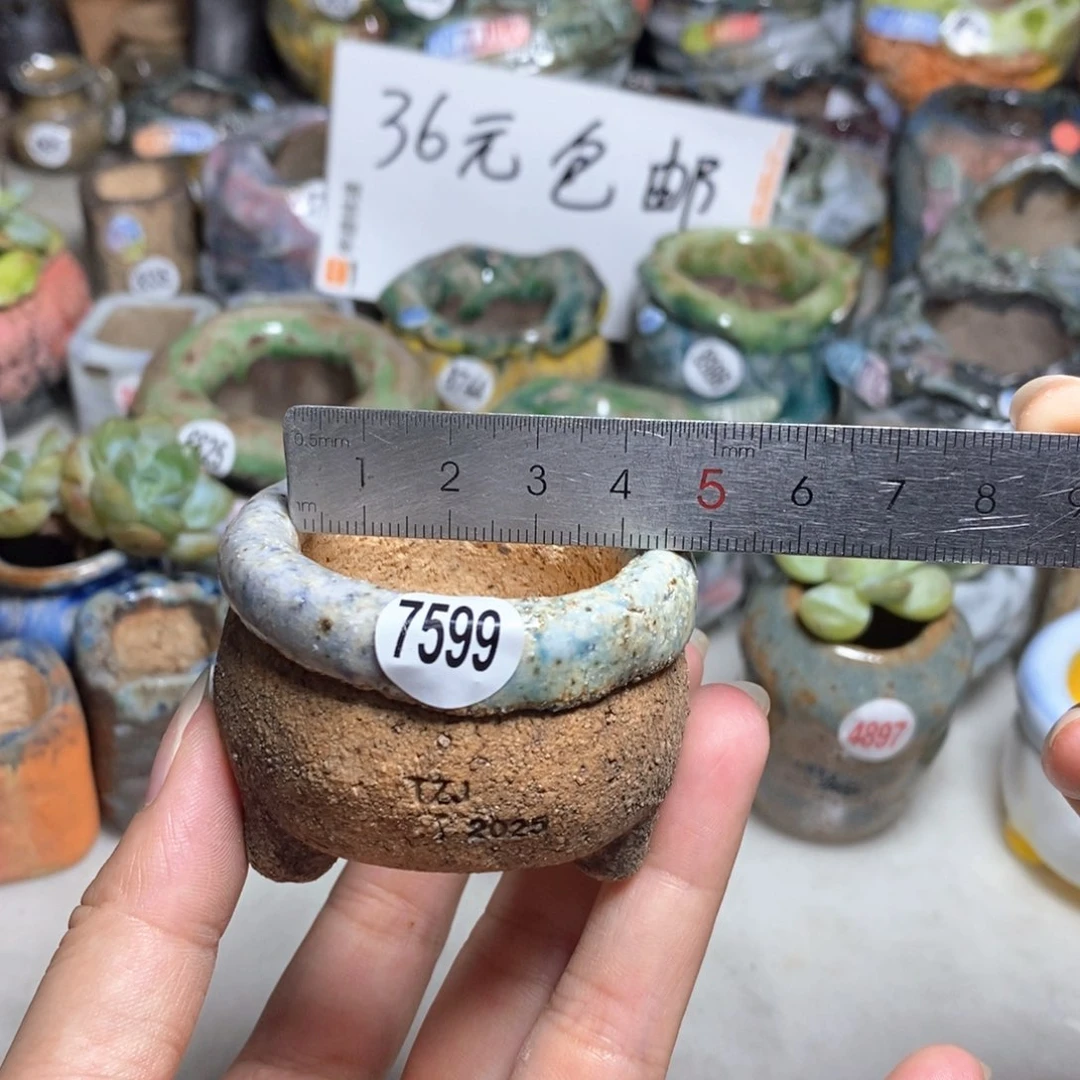 拍3送一个小礼物