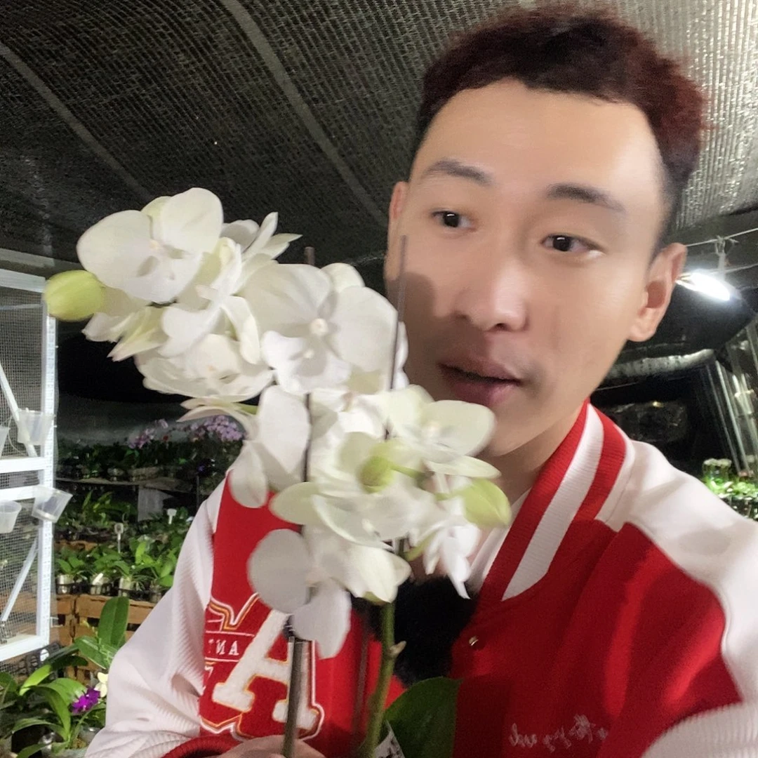 无花朵绿野仙踪福利