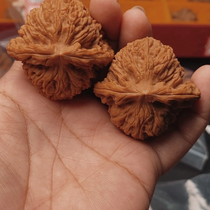 华***子核桃南疆石46尺核桃