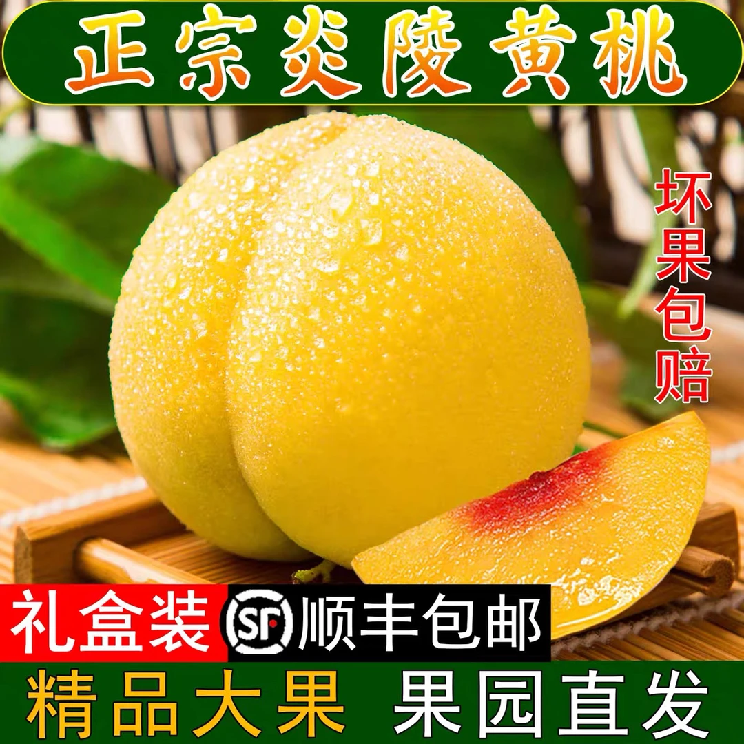 【阿亮推荐】正宗湖南炎陵黄桃新鲜水果现摘锦绣脆甜当季时令大桃