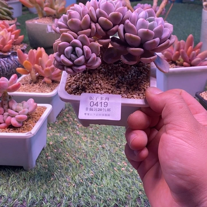 0419啊啊啊啊啊啊啊啊啊啊啊