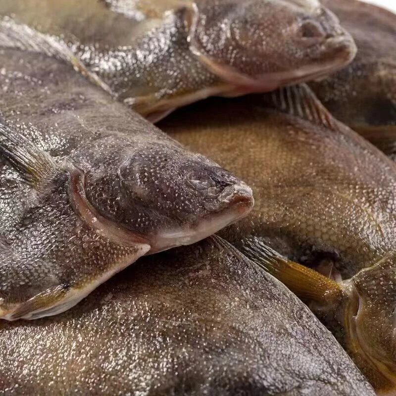 大左口鱼  新鲜现称 顺丰到家