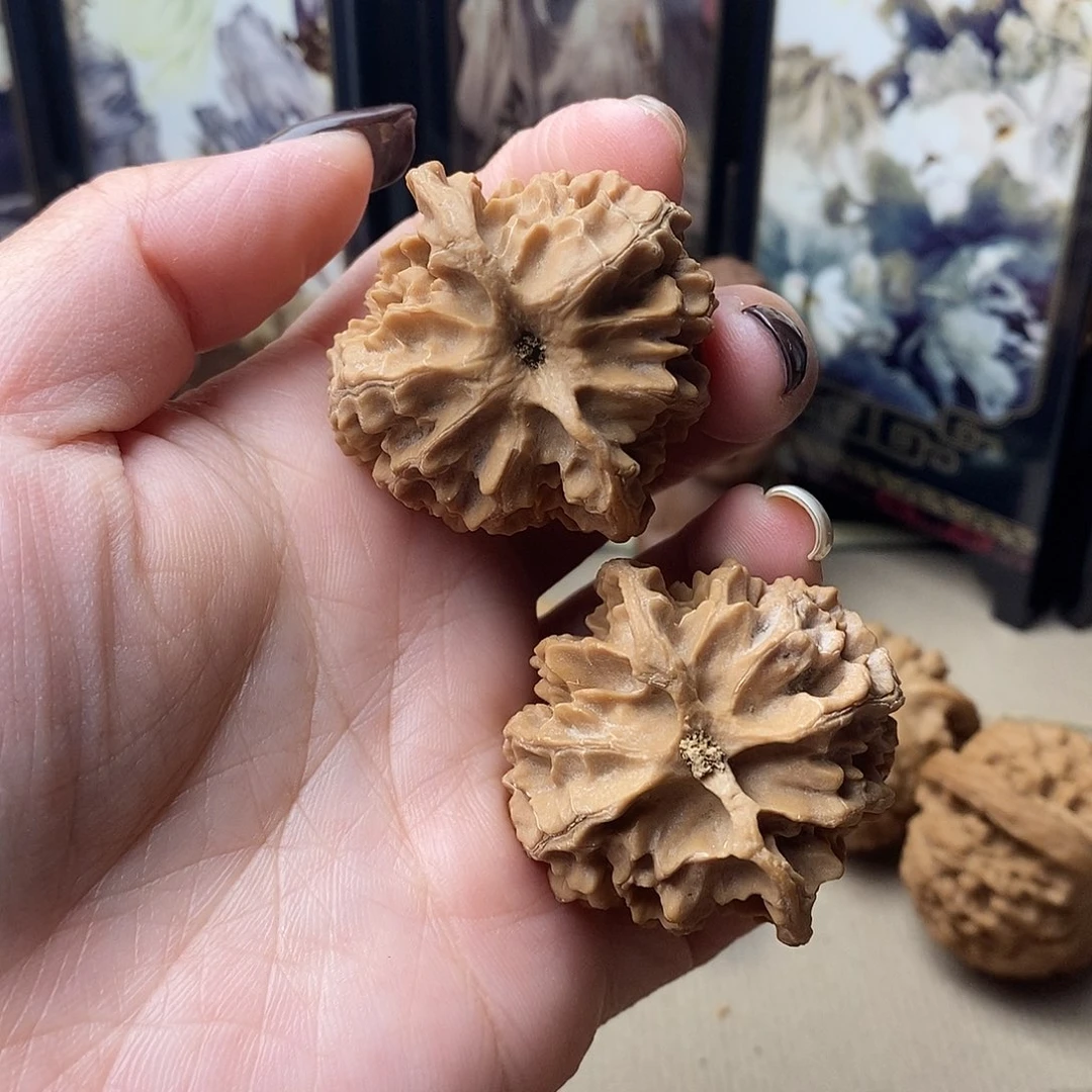 核桃苹果园40尺全品