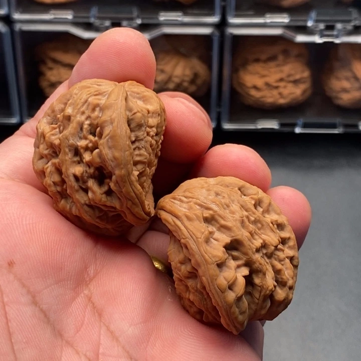 核桃38全品虎头蛇头