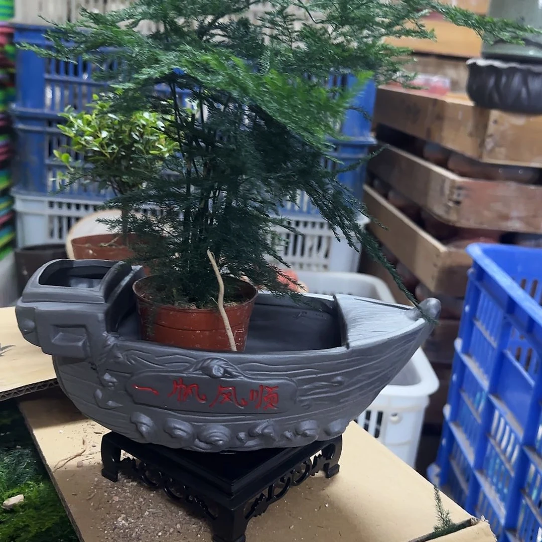 3件套福利局绿植多肉盆［凑9元包邮24小时发］