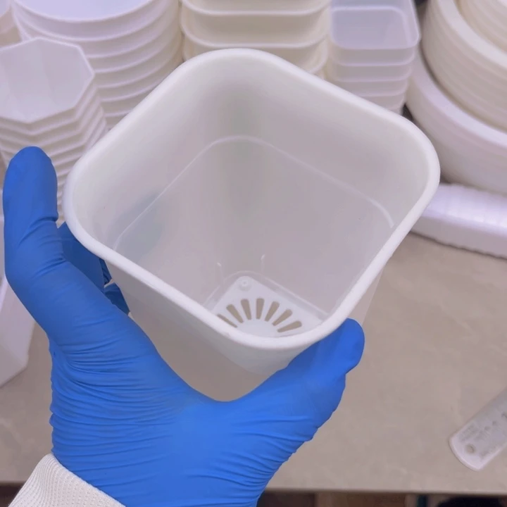 白方万象口10高14一组5个