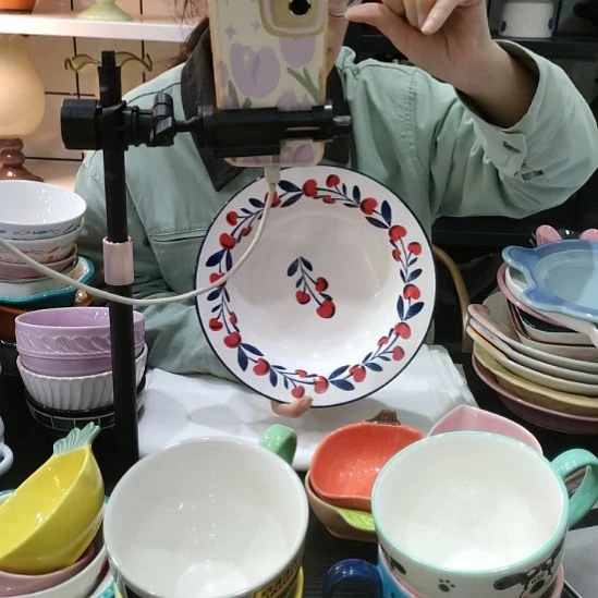 瓷高温瓷釉下彩菜盘