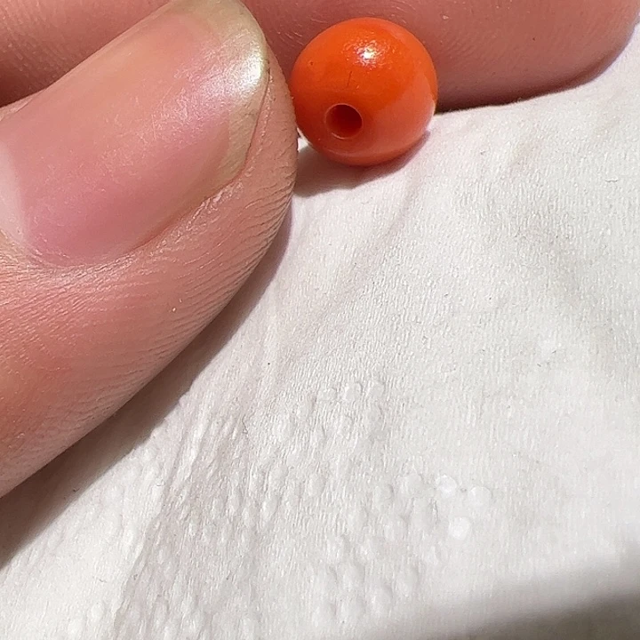 香榧木你是否也有