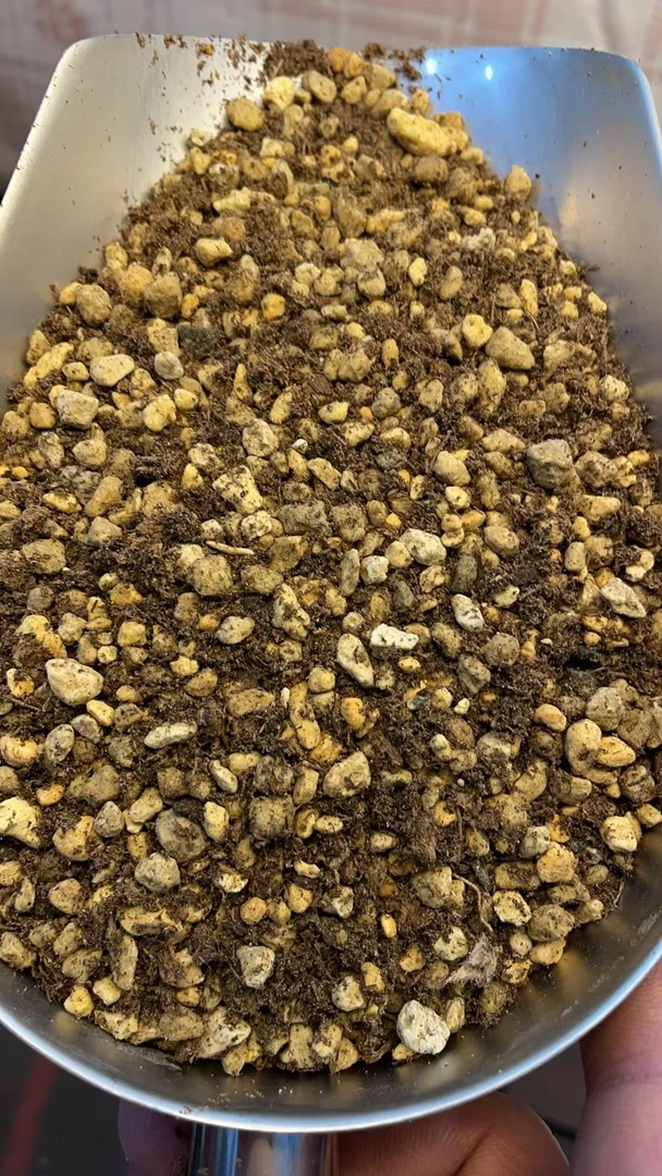 多肉植物高品质颗粒土（纯轻质软质颗粒）品氏泥炭透气上色诱根五斤