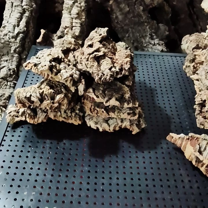 寻***兰拍拍拍拍拍拍拍拍，，