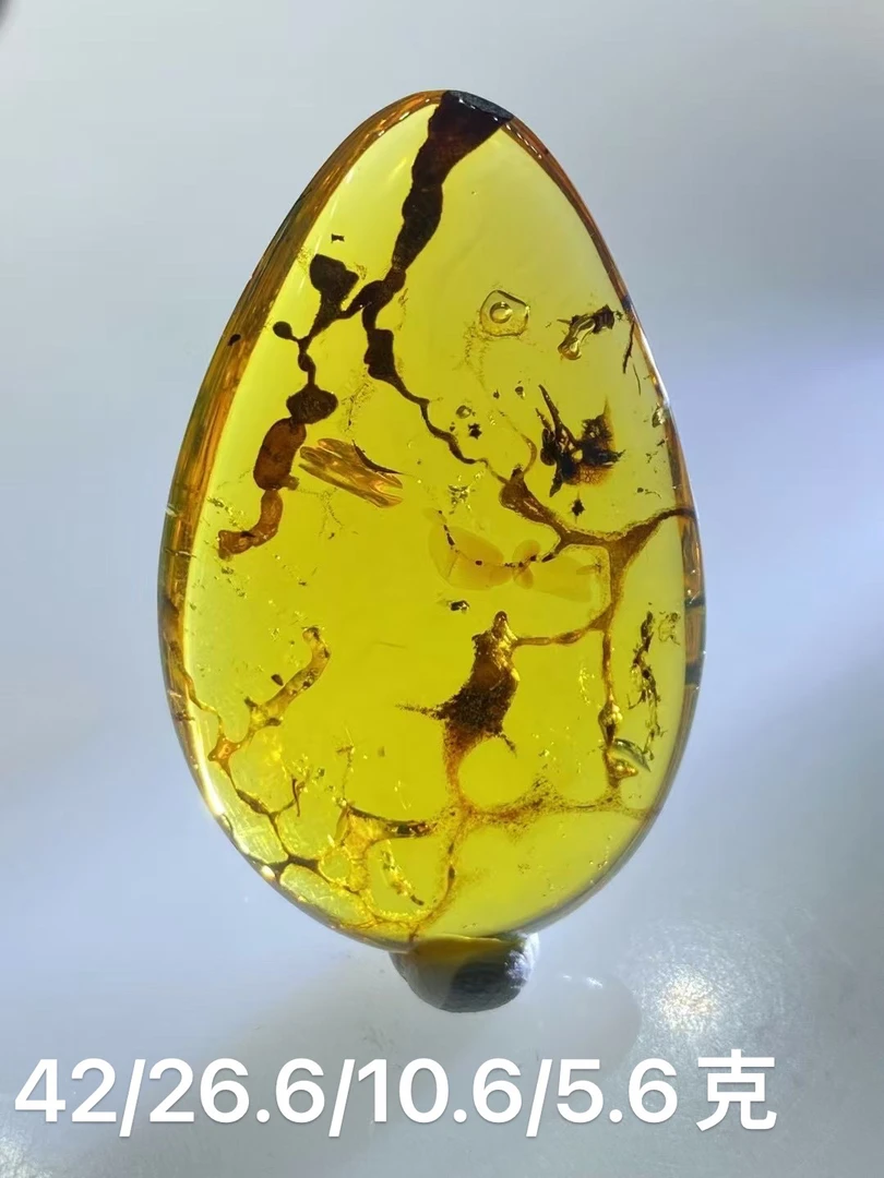 精美植物带水胆吊坠 水胆为手动胆 金兰珀体品质不错