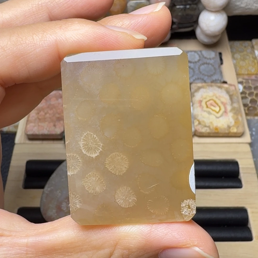 硅化玉未镶嵌带朵骨骼花，角有纹特价