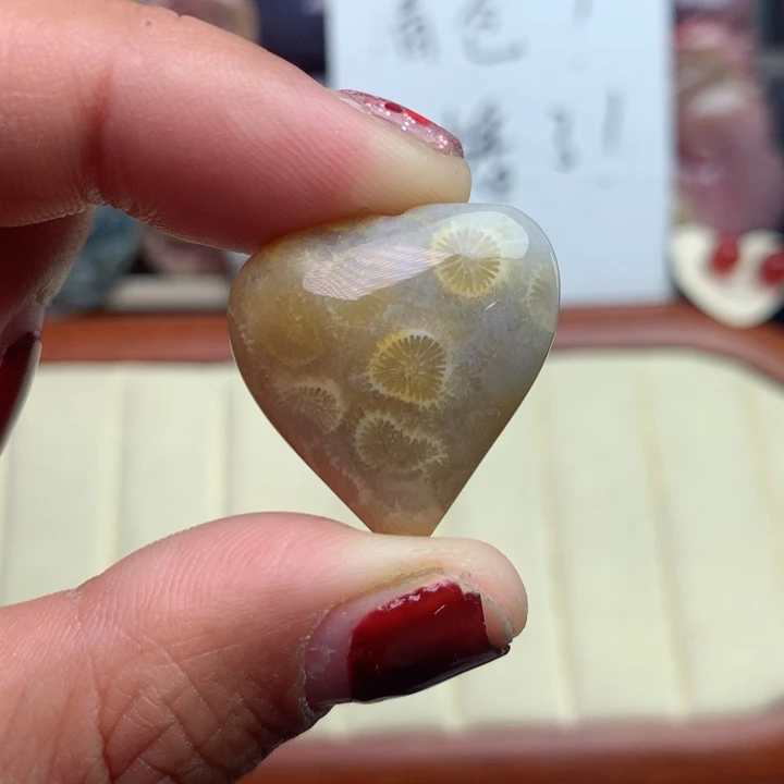 硅化珊瑚（珊瑚玉）颈饰未镶嵌