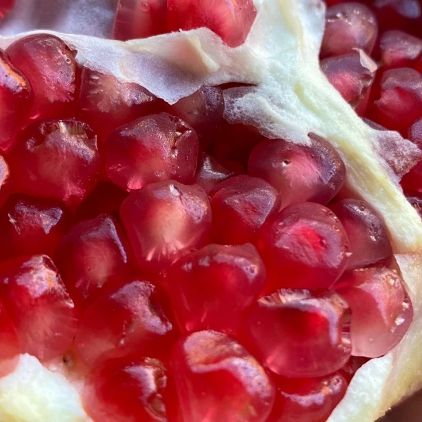 建水南庄李伍山圆籽酸甜石榴酸甜多汁当季水果