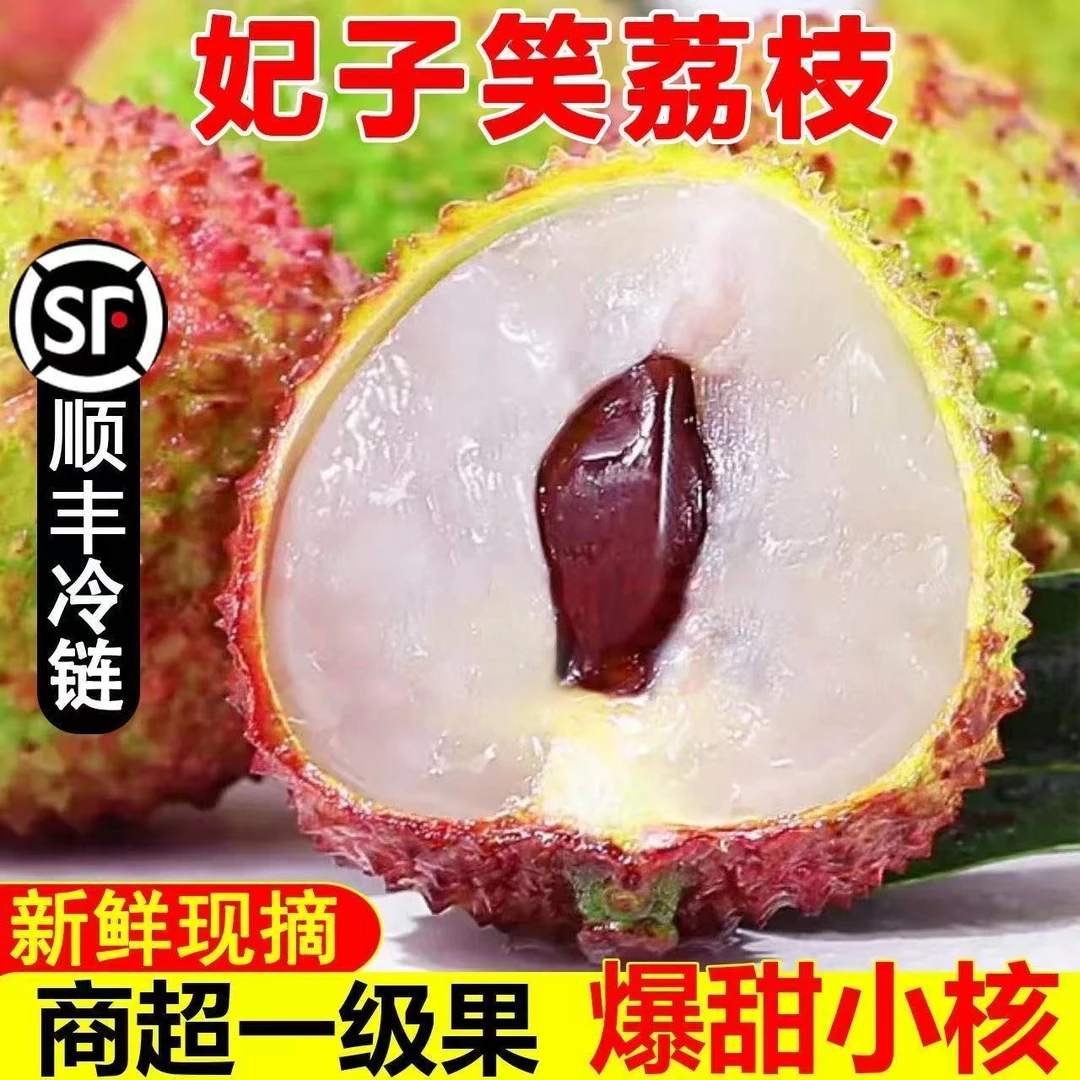 【顺丰冷链】广东高州妃子笑3/5/10斤新鲜荔枝产地直发