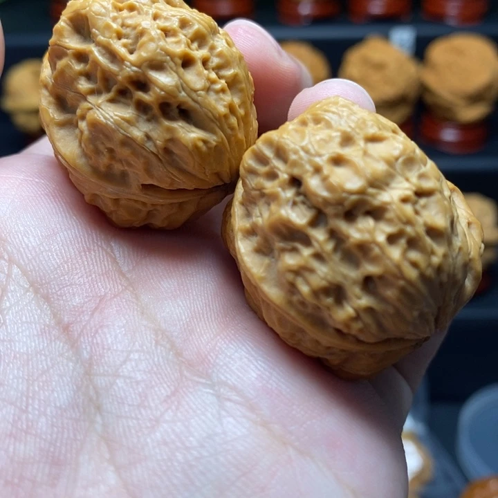 文玩核桃把件35五毒襜