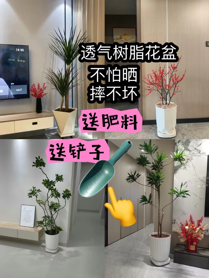 加厚室外透气树脂大花盆南天竹黑金刚鸭脚木百合竹黄金榕幌伞枫