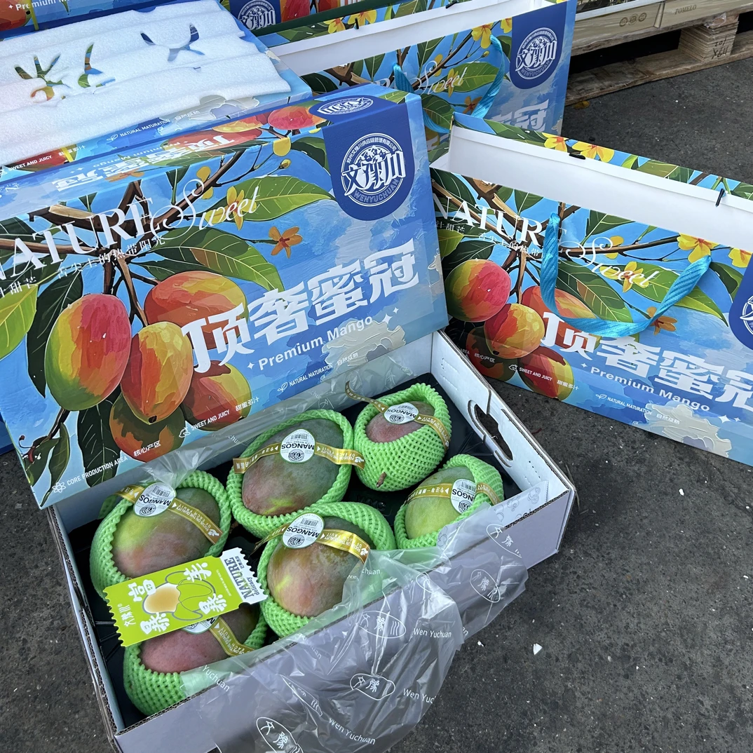 【精品凯特芒大果礼盒】郑州攀枝花凯特芒一箱6-8颗带箱9.5斤左右四川省