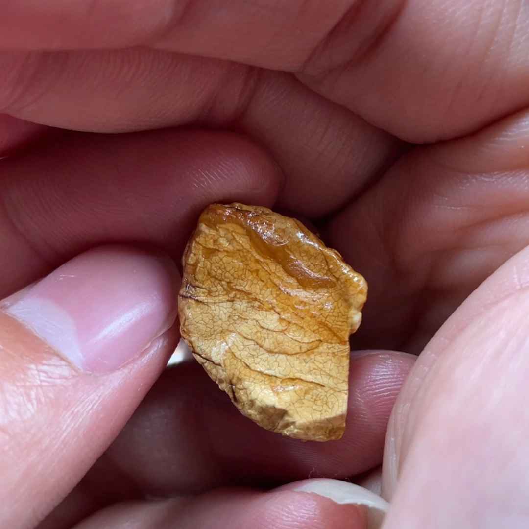 定制琥珀未镶嵌天然蜜蜡