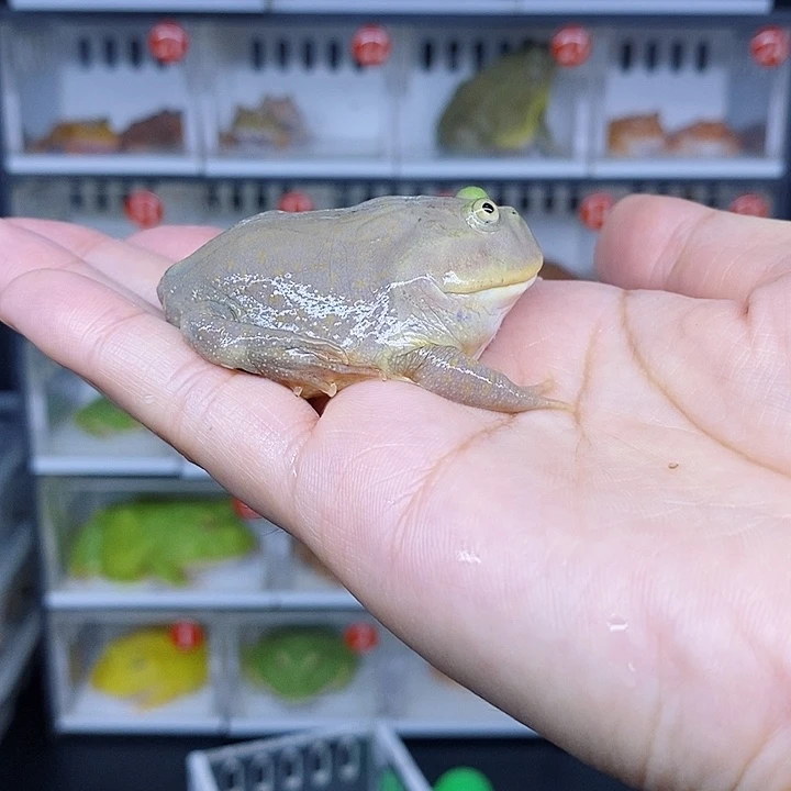 特价促销价格只要