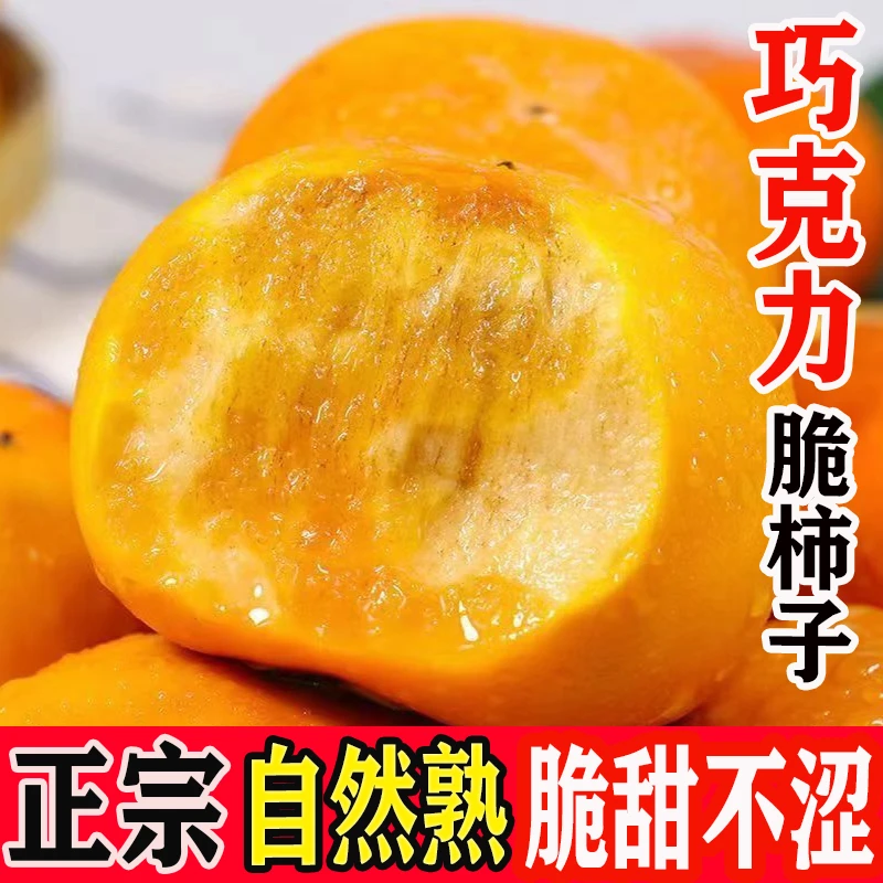 正宗阳丰巧克力冰糖心甜脆柿子当季新鲜水果3/5生吃脆甜不涩包邮