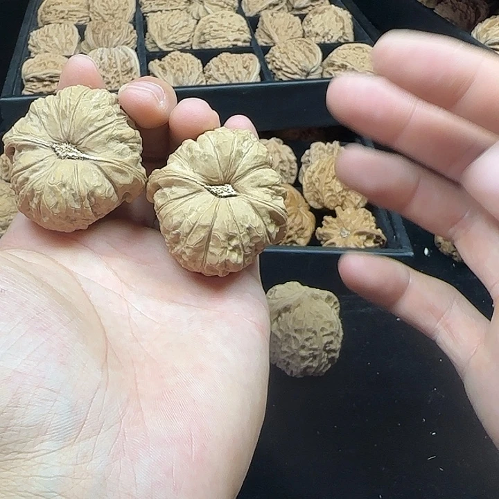 明***天龙脊菩提吊坠啊啊啊啊啊啊啊南瓜2