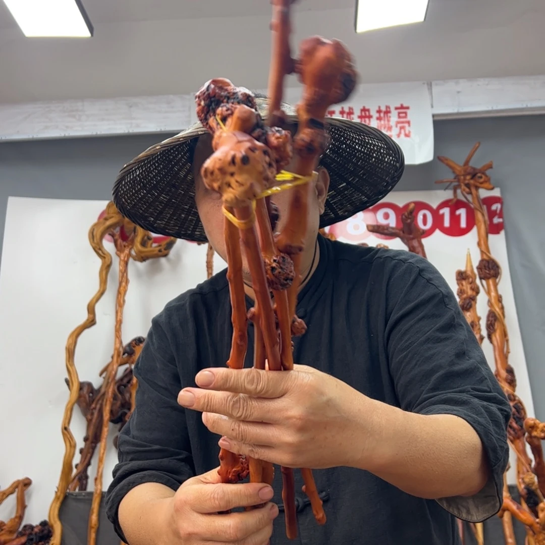 黑果木其他黑果木539