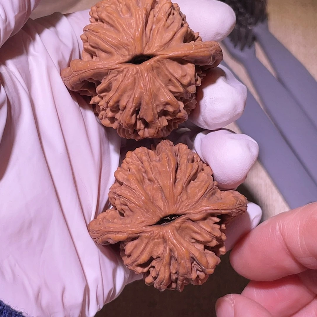 【闪购商品】42虎头