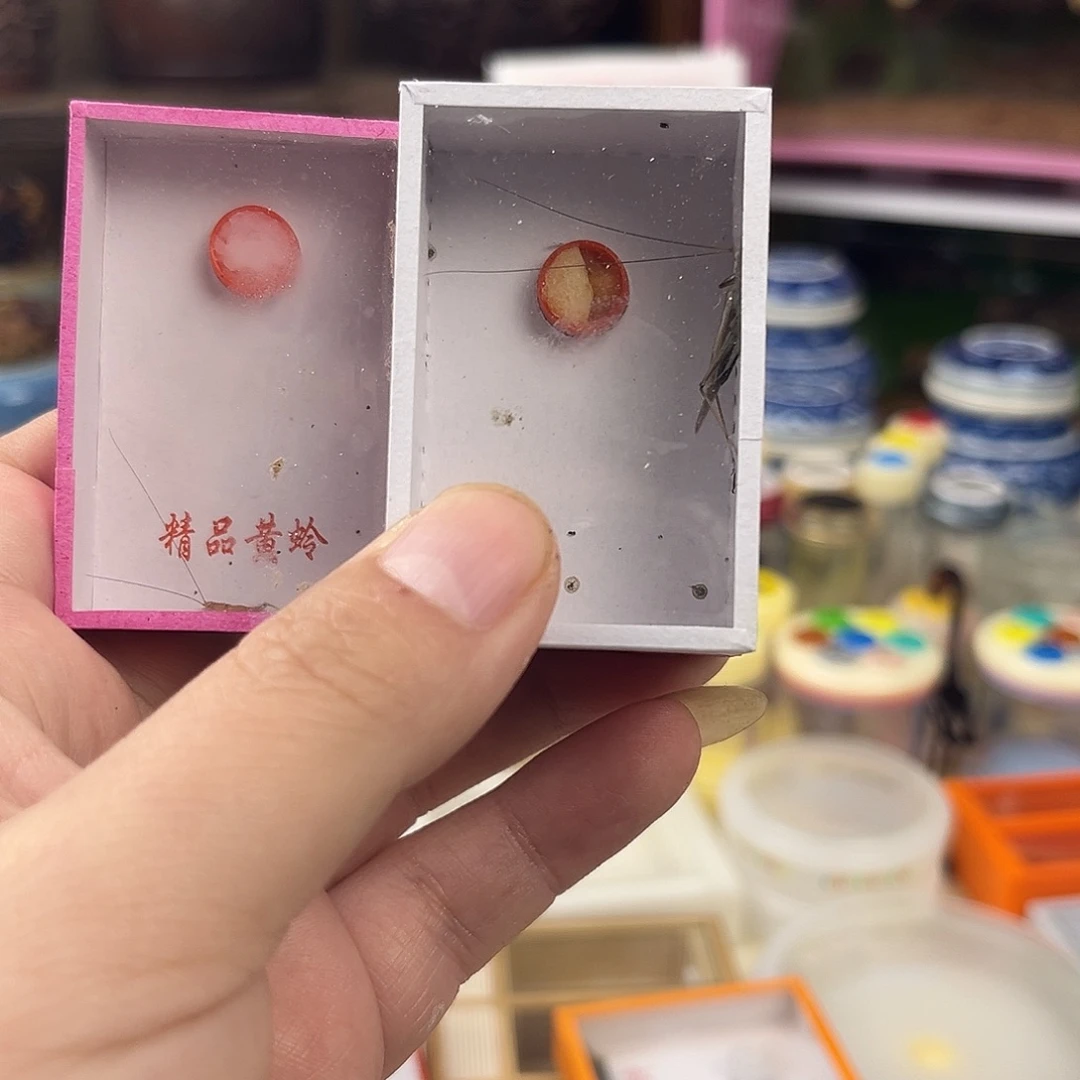 渡***生两条中黄蛉两条紫竹蛉