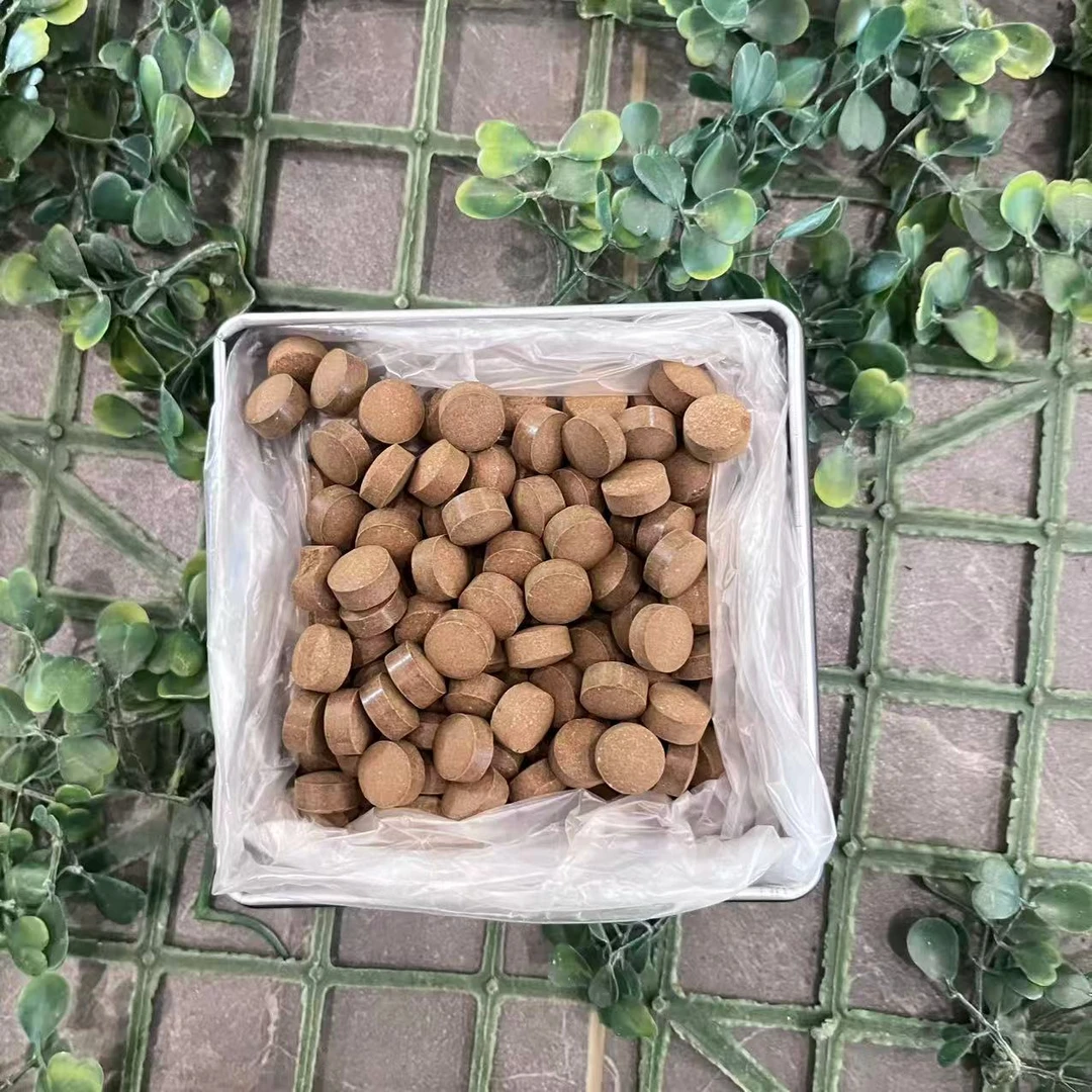 雨腾古茶  Y圣”G専  B窍 大圆M”Y倍J炼60g/盒（12月21）