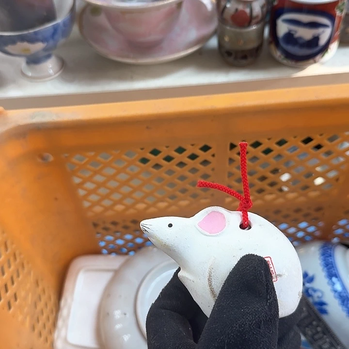 碗开播啦…开播啦