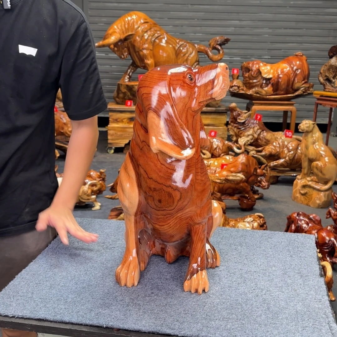 开***爷香樟木3455667788899990000