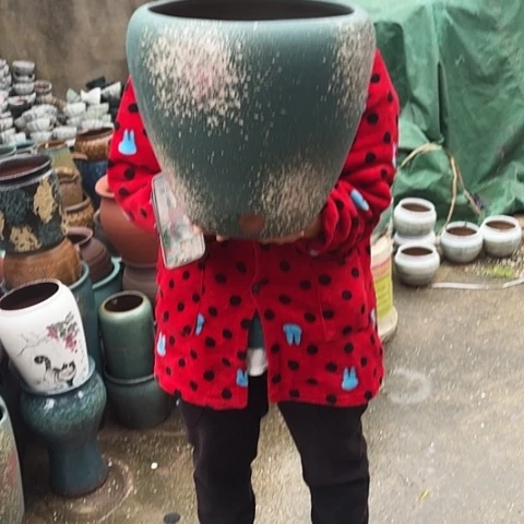 口28高31瑕疵一个盆。