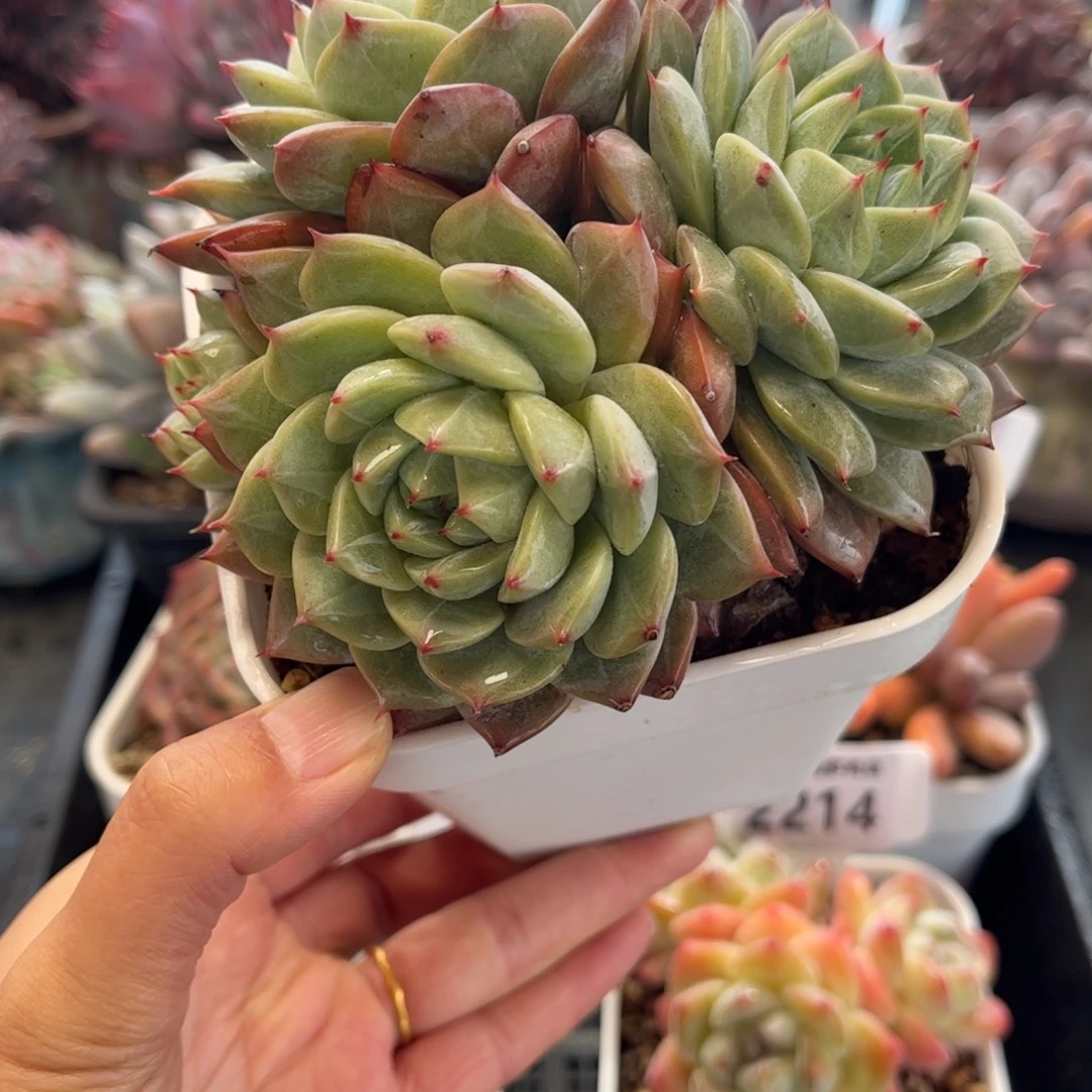 2218 满30包邮天冷必拍保温箱