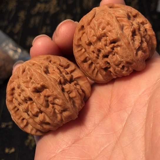 文玩核桃把件白狮子39mm