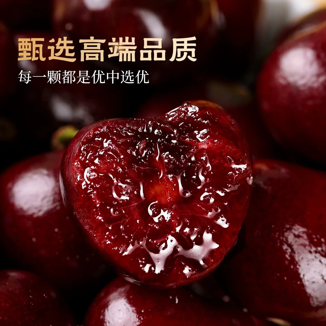 JJD空运智利桑提娜车厘子一斤装桑提娜智利桑提娜智利
