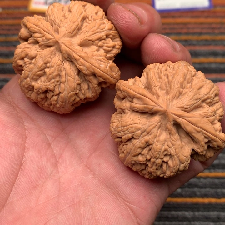 把件文玩核桃20号46全品大粗筋